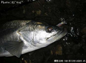 �����Х�