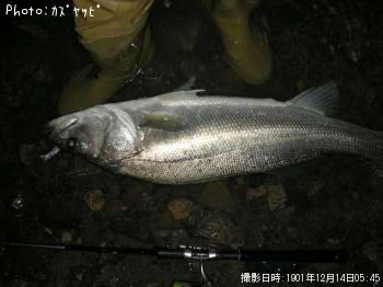 �����Х�