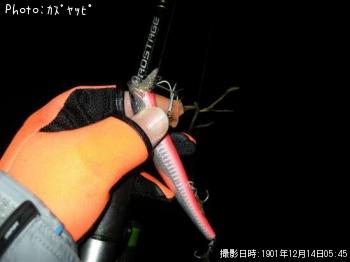 �����Х�