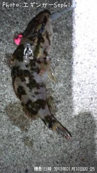 ¥¿¥±¥Î¥³¥á¥Ð¥ë