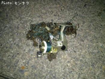 �꡼��Ǥ���