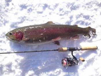 ���å��ȥ饦��