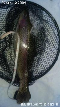 ¥í¥Ã¥¯¥È¥é¥¦¥È