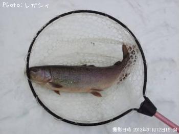 ¥í¥Ã¥¯¥È¥é¥¦¥È