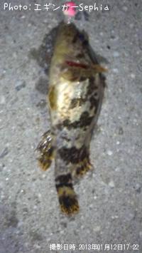 �����Υ���Х�