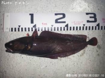 �ܻ������