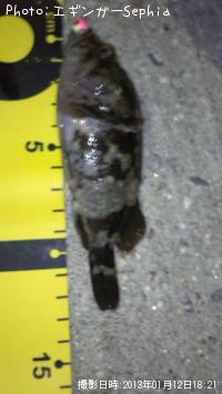 �����Υ���Х�