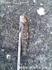 �����ʥ�