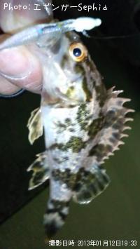 �����Υ���Х�