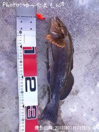 �����ʥ�