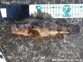 ¥¿¥±¥Î¥³¥á¥Ð¥ë