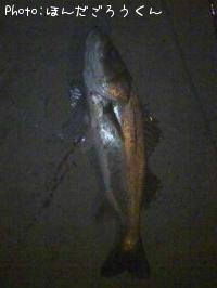 �����Х�