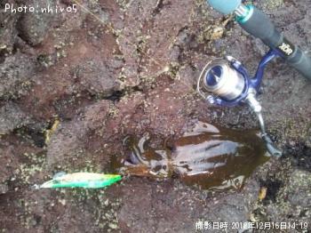 ¥¢¥ª¥ê¥¤¥«