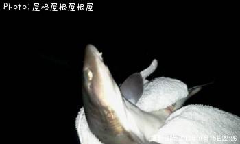 �ޤ�������