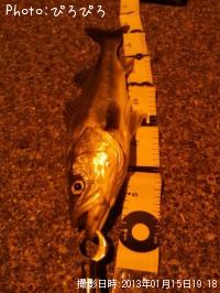 �����Х�