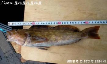 �����ʥ�ʾС�