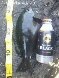 ¸ýÂÀ¥á¥¸¥Ê