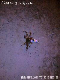 �⥯������