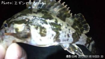 ¥¿¥±¥Î¥³¥á¥Ð¥ë