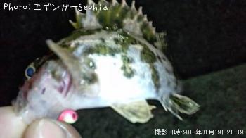 �����Υ���Х�