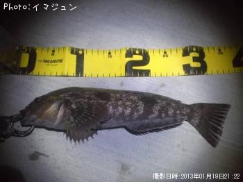 �����ʥ�