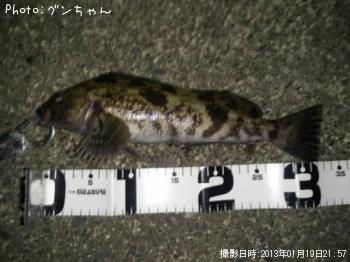 �����ʥ�