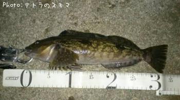 �����ʥ�