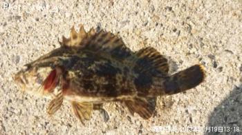 �����Υ���Х�