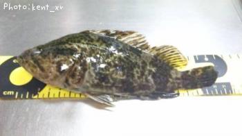 �����Υ���Х�