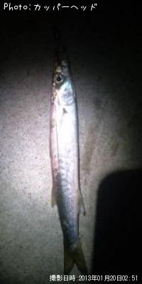 ¾®¤µ¤Ê¹¬¤»