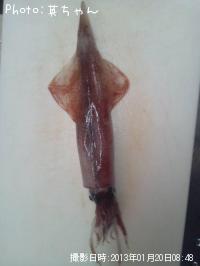 ¥ä¥ê¥¤¥«¡ª