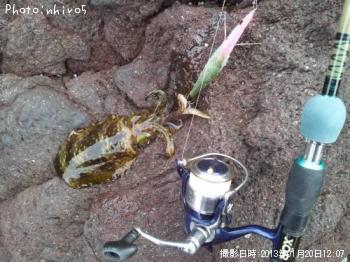 �����ꥤ��