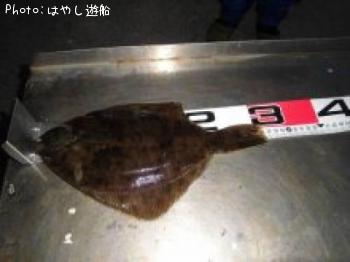 ¥Þ¥³¥¬¥ì¥¤