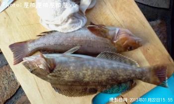 ¥¢¥¤¥Ê¥á¡Ê¾Ð¡Ë