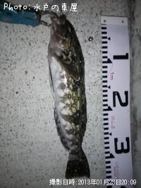 �����ʥ�