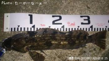 �����ʥ�