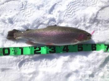 ¥í¥Ã¥¯¥È¥é¥¦¥È