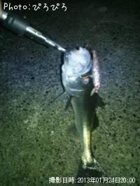 �����Х�