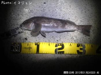 �����ʥ�