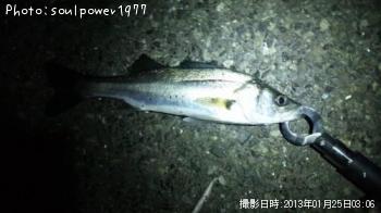 �����Х�