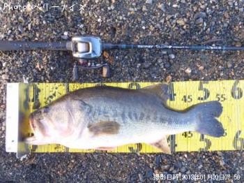 ¥Ö¥é¥Ã¥¯¥Ð¥¹