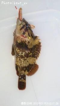 �����Υ���Х�