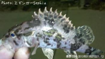 �����Υ���Х�