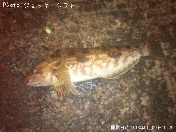 �����ʥ�