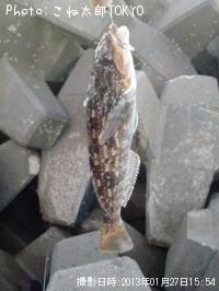 �����ʥ�