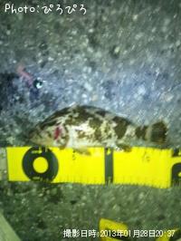 ¥¿¥±¥Î¥³¥á¥Ð¥ë