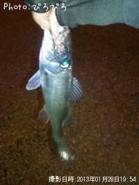 ¥¿¥±¥Î¥³¥á¥Ð¥ë