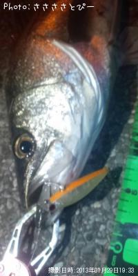 �����Х�