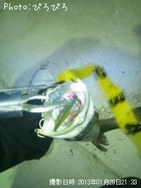 �����Х�