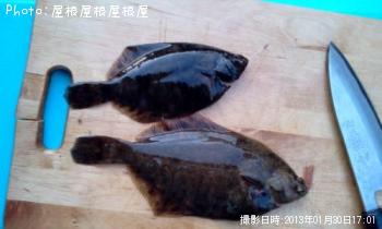 ¥«¥µ¥´¡õ¥«¥ì¥¤£³Ëç